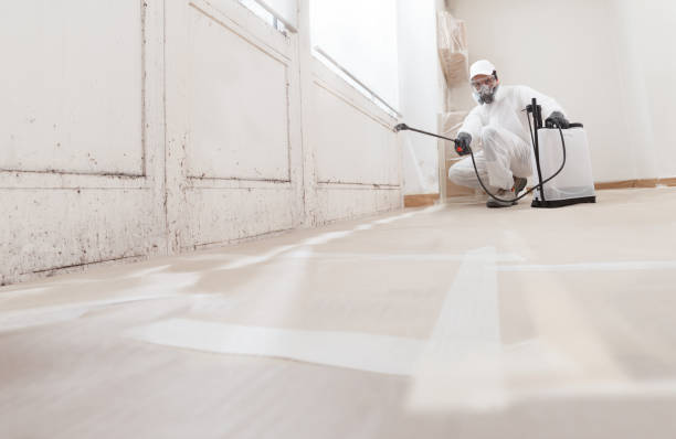 24/7 Emergency Basement Mold Removal experts in Winter Park, FL